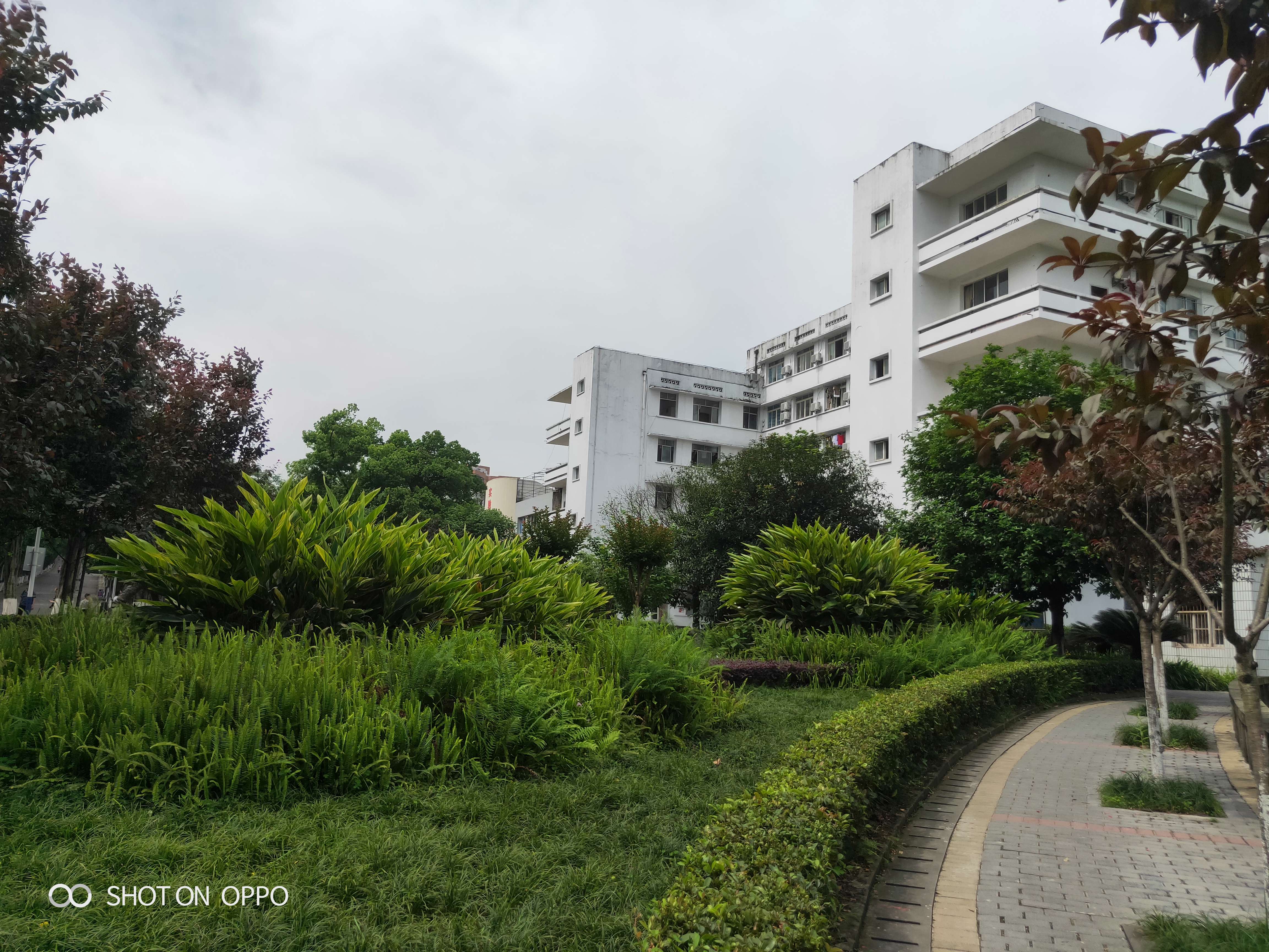 IMG20190501104657.jpg